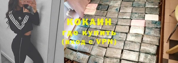 гидра Арсеньев