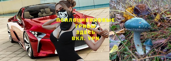 мдпв Армянск