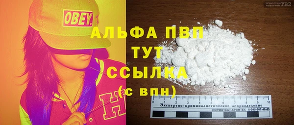 гидра Арсеньев