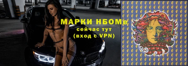 гидра Арсеньев