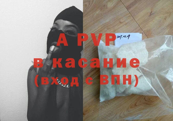 гидра Арсеньев