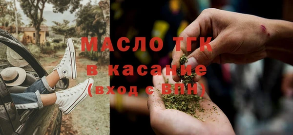 гидра Арсеньев