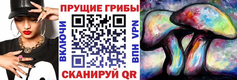 где купить наркоту  Урай  Галлюциногенные грибы GOLDEN TEACHER 